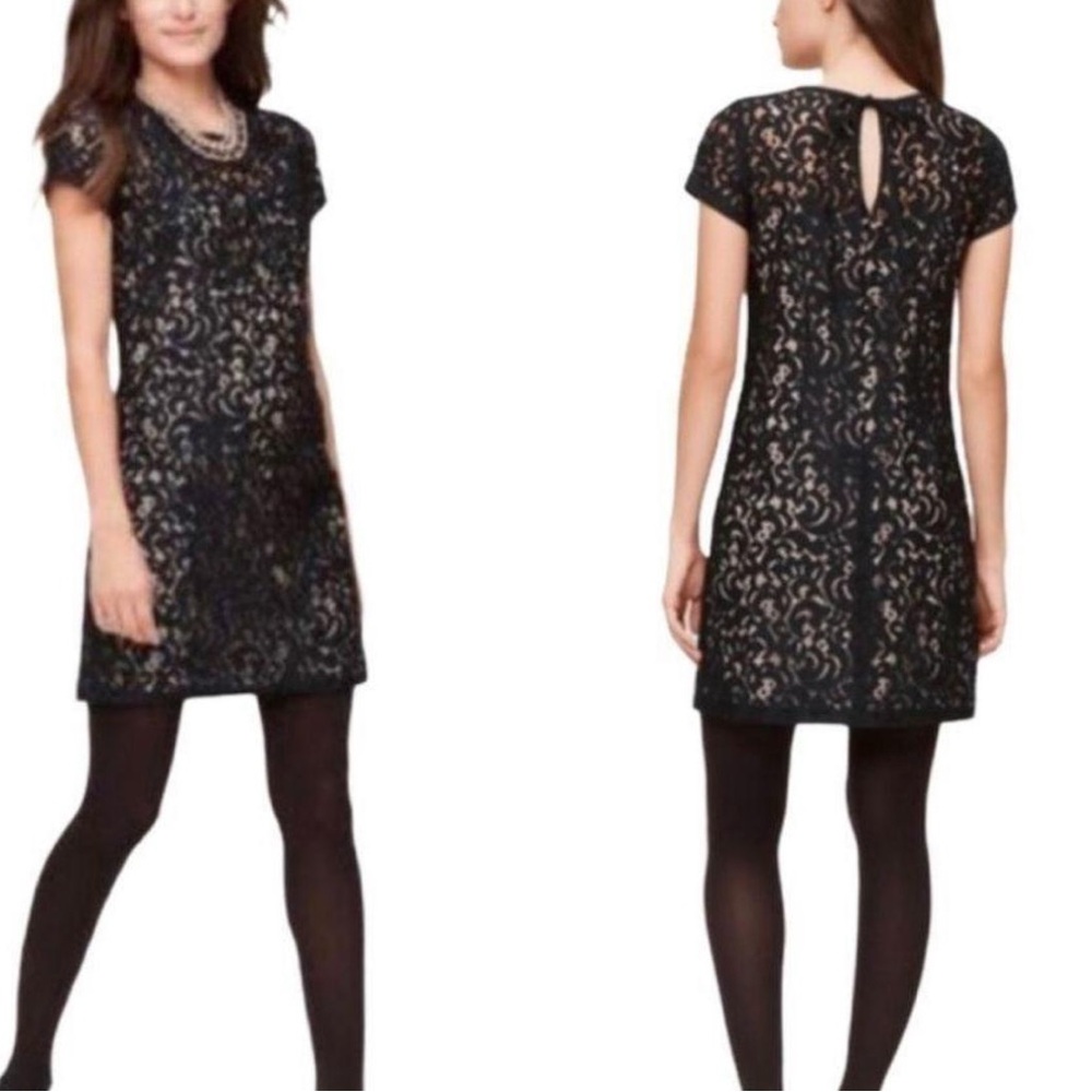 Loft Black Lace Dress